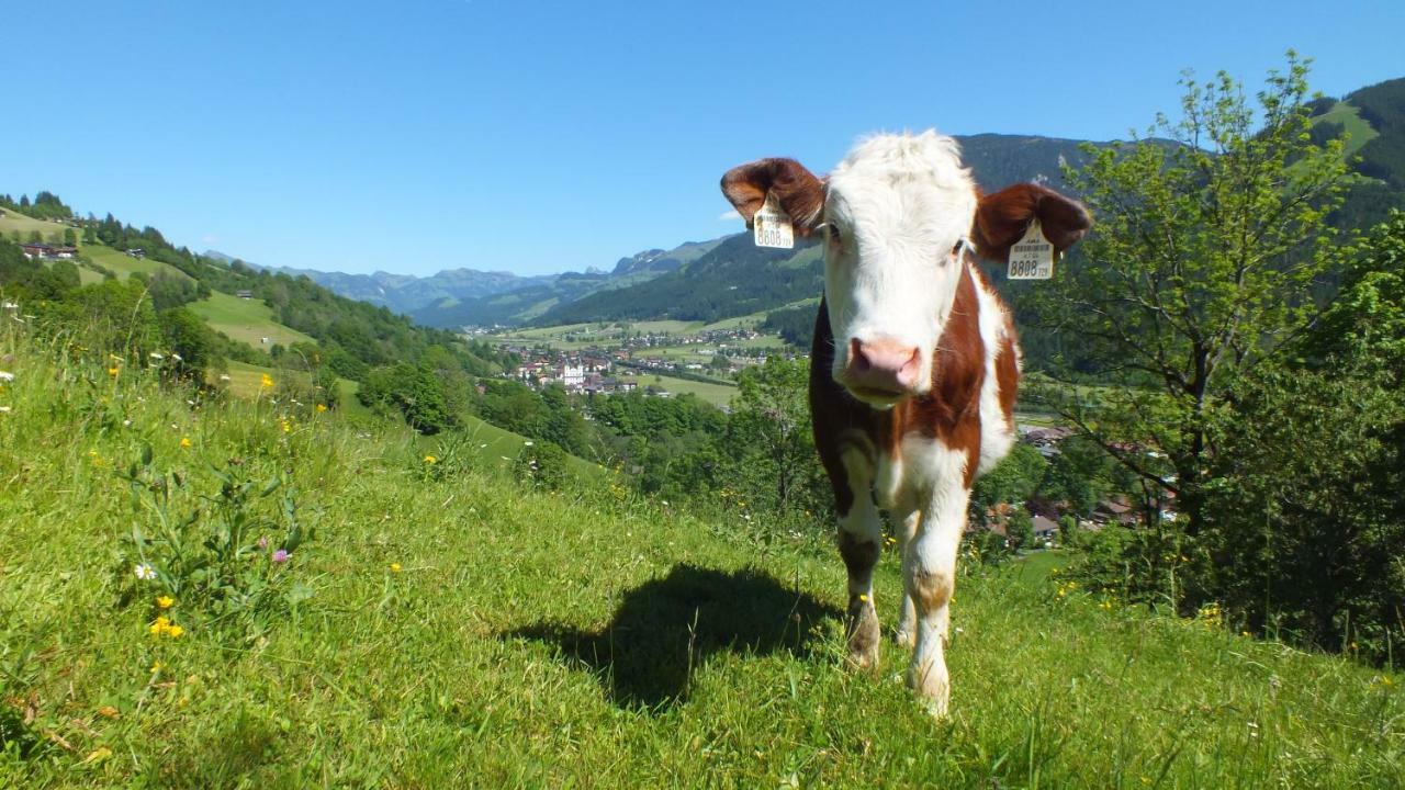 Franbichl Apartment Brixen im Thale Luaran gambar